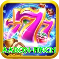 aaron finch Pro Edition v2.9.9