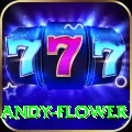 andy flower Elite Pro v4.0.5