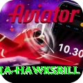 antigua hawksbill Apps (Tools & Injectors) Premium v4.7.2