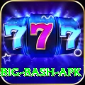 bbl big bash apk Pro Max v2.4.8