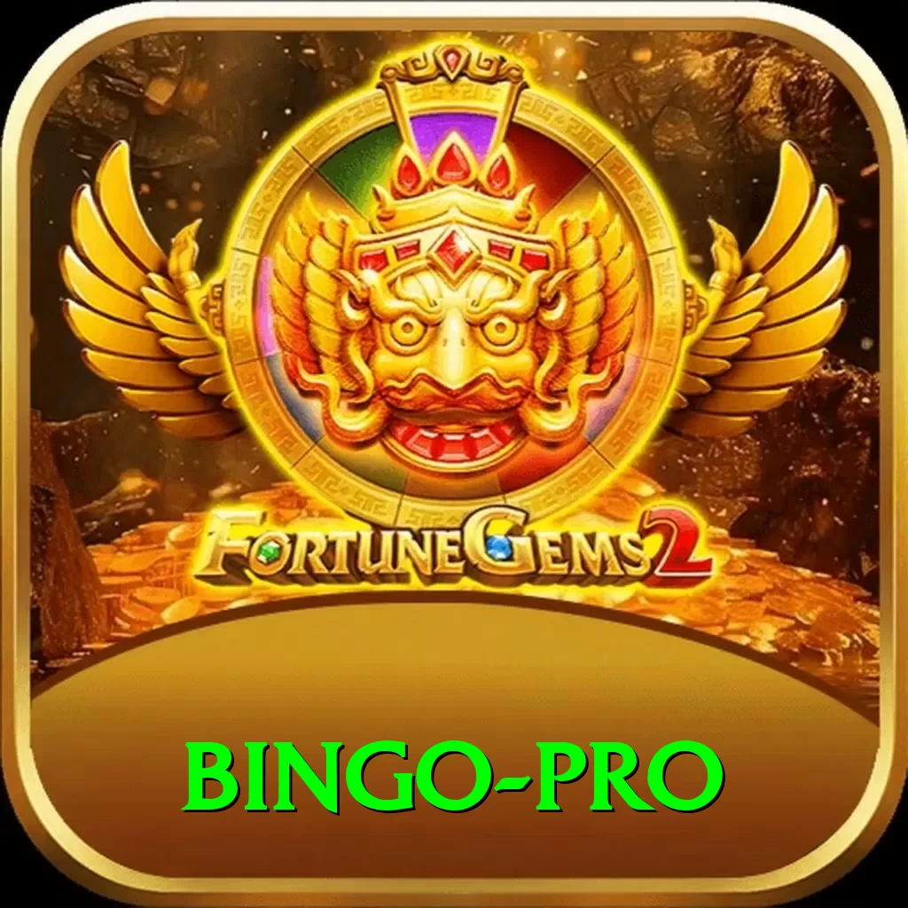bingo VIP Casino App - 2