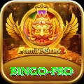 bingo VIP Casino App