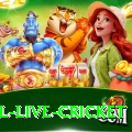 bpl live cricket VIP v5.1.5