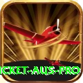 cricket aus - Slots Max