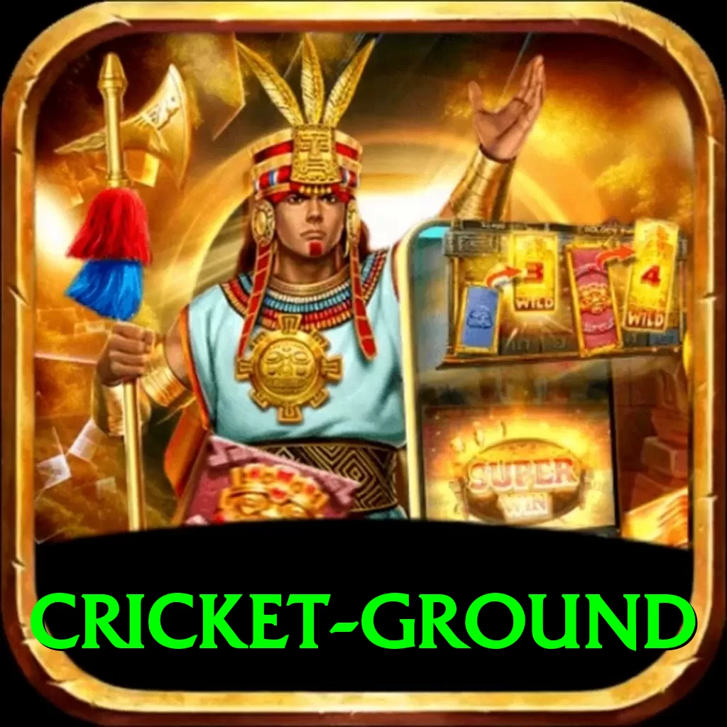 cricket ground VIP Edition v2.4.0 - 2