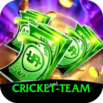 cricket team Premium Plus v1.7.4 - 2