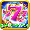 david gower Pro1 v1.8.2