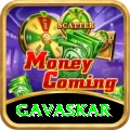 gavaskar VIP Pro v1.2.4