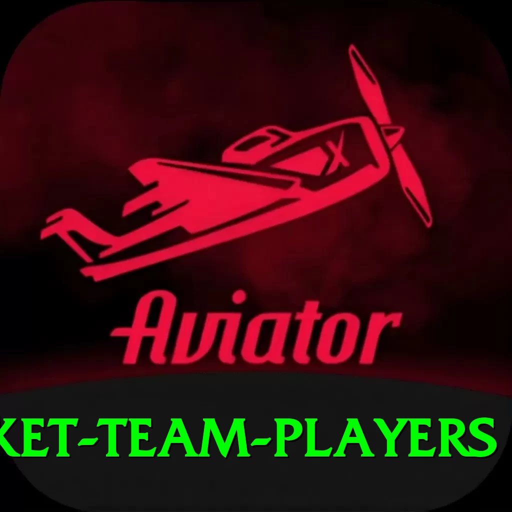 india national cricket team players Deluxe v2.2.2 - 2