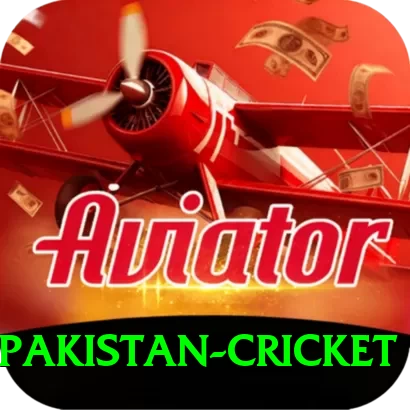 india pakistan cricket Deluxe v4.4.4 - 2