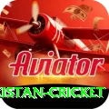 india pakistan cricket Deluxe v4.4.4