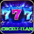 ireland cricket team Games (Casino & Earning) VIP v2.1.5