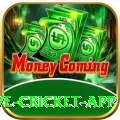 live cricket app Pro1 v2.1.1