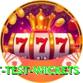 most test wickets VIP Pro v3.6.4