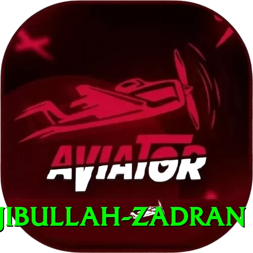 najibullah zadran Plus v1.1.9 - 2