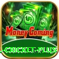 nepal cricket Deluxe Latest v1.3.5