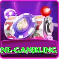 online gambling Pro Max v2.9.6