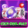 pakistan cup one day VIP v1.1.7