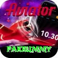 pakrummy Master Pro v4.5.5
