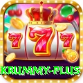 pakrummy VIP v2.8.6