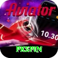 pkspin Pro1 v5.0.9