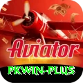 pkwin VIP v2.2.2