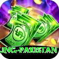 responsible gambling pakistan Max v4.1.3