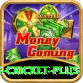 sports cricket Prime Casino App