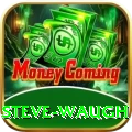 steve waugh Master v3.0.6