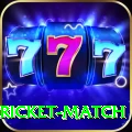 to day cricket match VIP v1.8.4