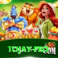 tojay Plus Latest v2.0.9