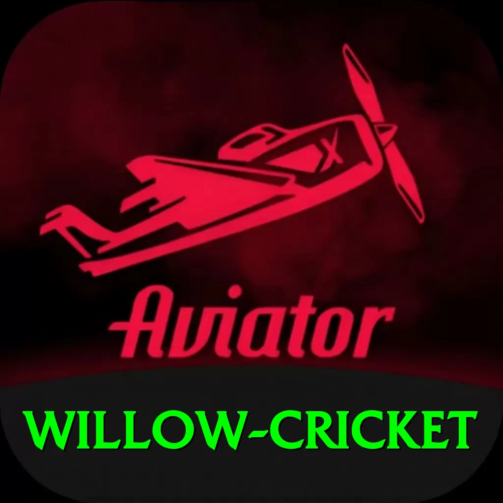 willow cricket - 2