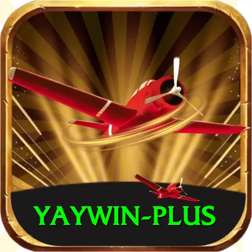 yaywin VIP v3.5.1 - 2