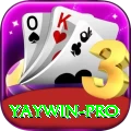 yaywin - Master Edition v5.4.2